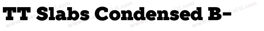 TT Slabs Condensed B字体转换